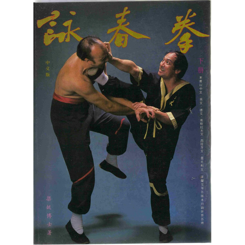 Wing Tsun Kuen Part.2 (Chinese Version) by Leung Ting