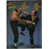 Wing Tsun Kuen Part.2 (Chinese Version) by Leung Ting