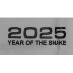 T-SHIRT 2025 YEAR OF THE SNAKE