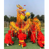 Dragon Dancing Set Gold（7-10  Dancers）