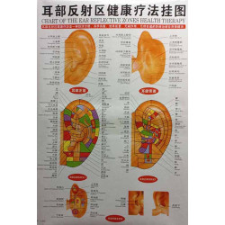 Meridians & Acu-Points Chart Set Of 7