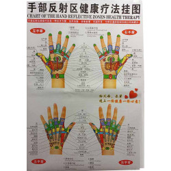 Meridians & Acu-Points Chart Set Of 7