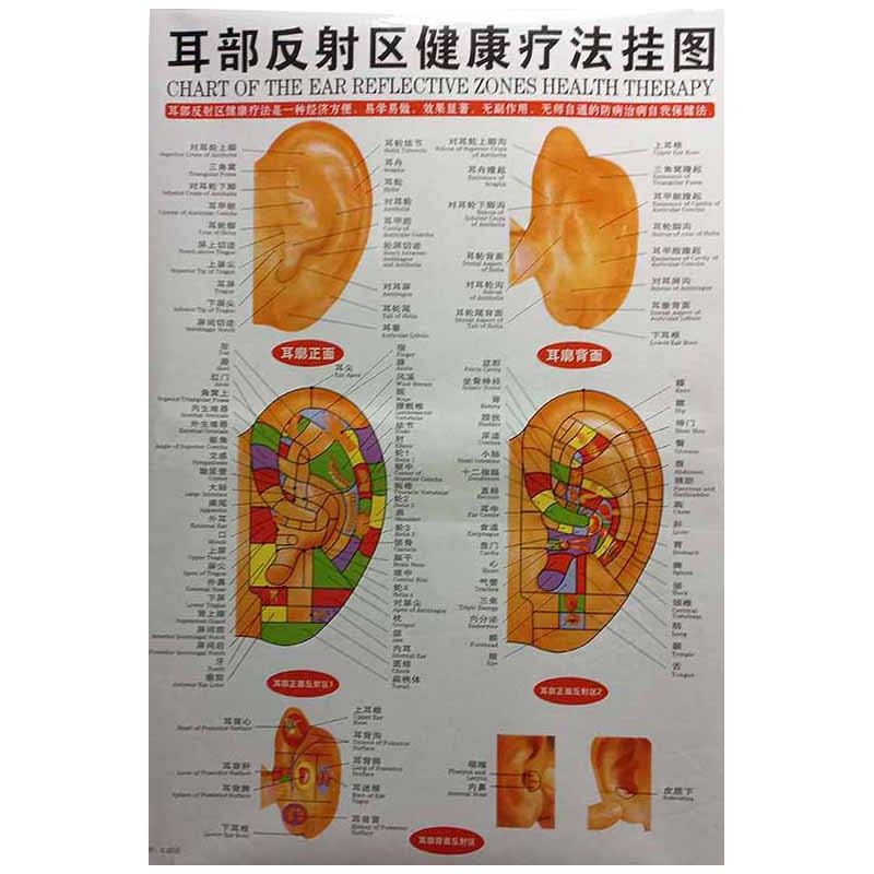 Ear Meridians & Acu-Points Chart