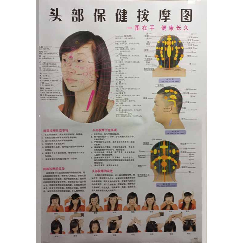 Head Meridians & Acu-Points Chart