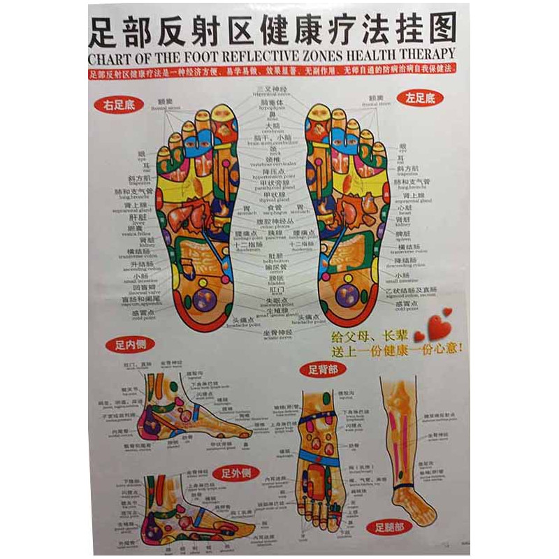 Foot Meridians & Acu-Points Chart