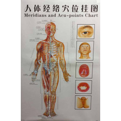 Body (Front)Meridians &...