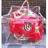 Clear Plastic Lion Head Cover