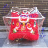 Clear Plastic Lion Head Cover