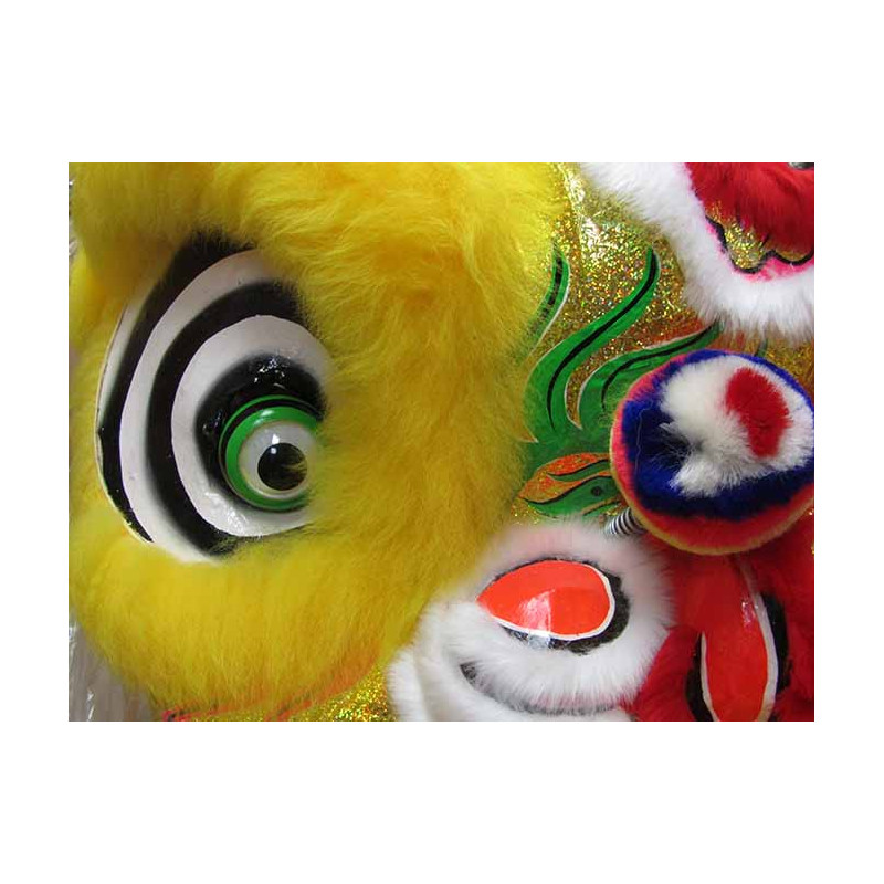 Lion Dance/Dragon Dance